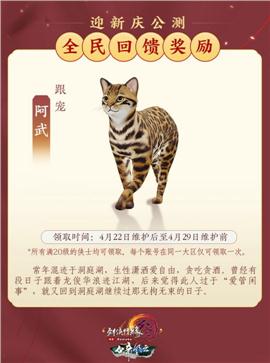 翔龙天龙八部私服